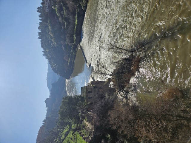 20260221_105355.jpg